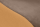 MOCHA/CAMEL
