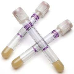 BD Vacutainer PPT Plasma Preparation Tube - 13x100 mm 5.0 mL - Box of 100