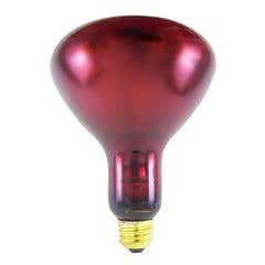 Infra-Red (Ir) Lamp
