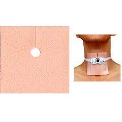 PolyMem PolyTube Tube Site Dressing, 3½ x 3½ Inch (Case of 30)