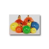 Gymnic Ball Diameter-29 (74cm) - Each