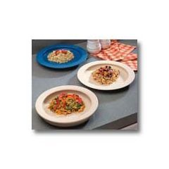 Plate with Inside Edge - Polypropylene Plate - Pack of 25