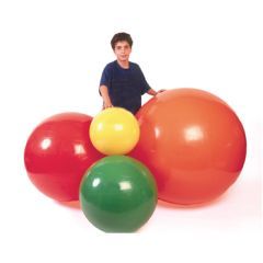 Physiogymnic Inflatable Exercise Ball