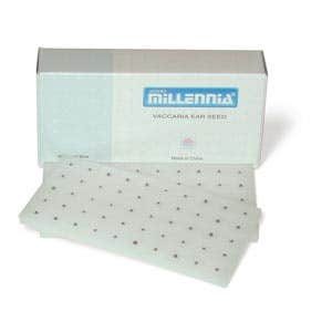 Acupuncture Ear Seeds A-6 - 200/Box
