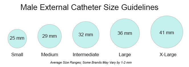 Male External Catheter Size Chart