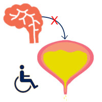 Functional Incontinence Functional Incontinence